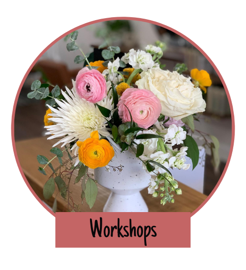 see our workshops